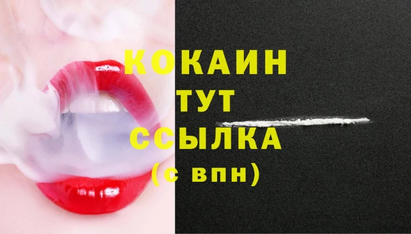 мяу мяу мука Богородицк