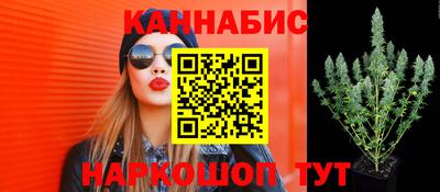 круглые Кингисепп