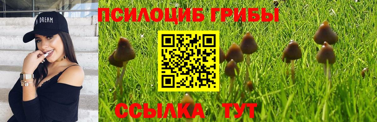 Псилоцибиновые грибы MAGIC MUSHROOMS  Псилоцибиновые грибы Cubensis  Вход с VPN  Малоярославец 