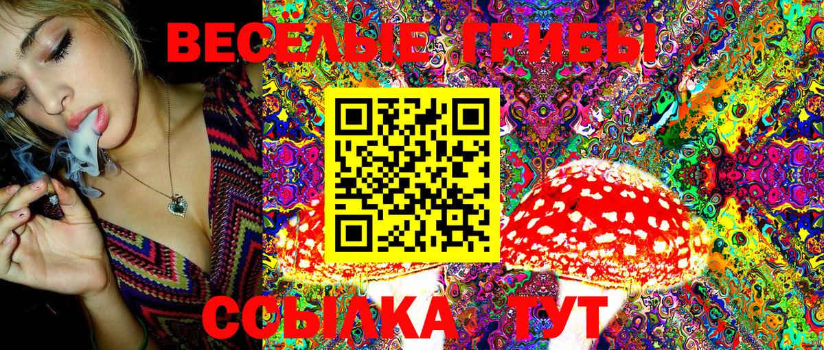 Псилоцибиновые грибы GOLDEN TEACHER Малоярославец